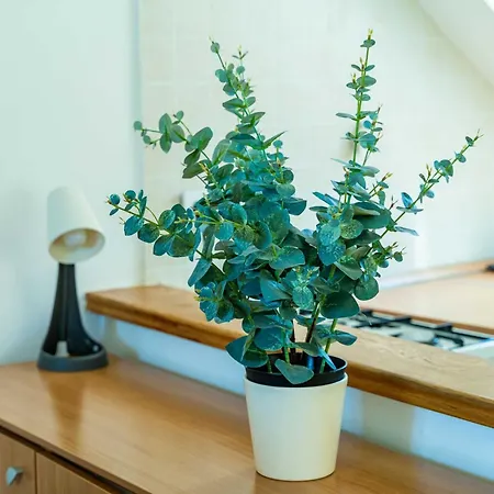 Apartment Foteza - Duplex Two Bedroom