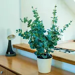 Apartman Foteza - Duplex Two Bedroom