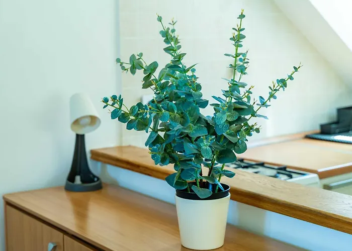 Appartamento Foteza - Duplex Two Bedroom